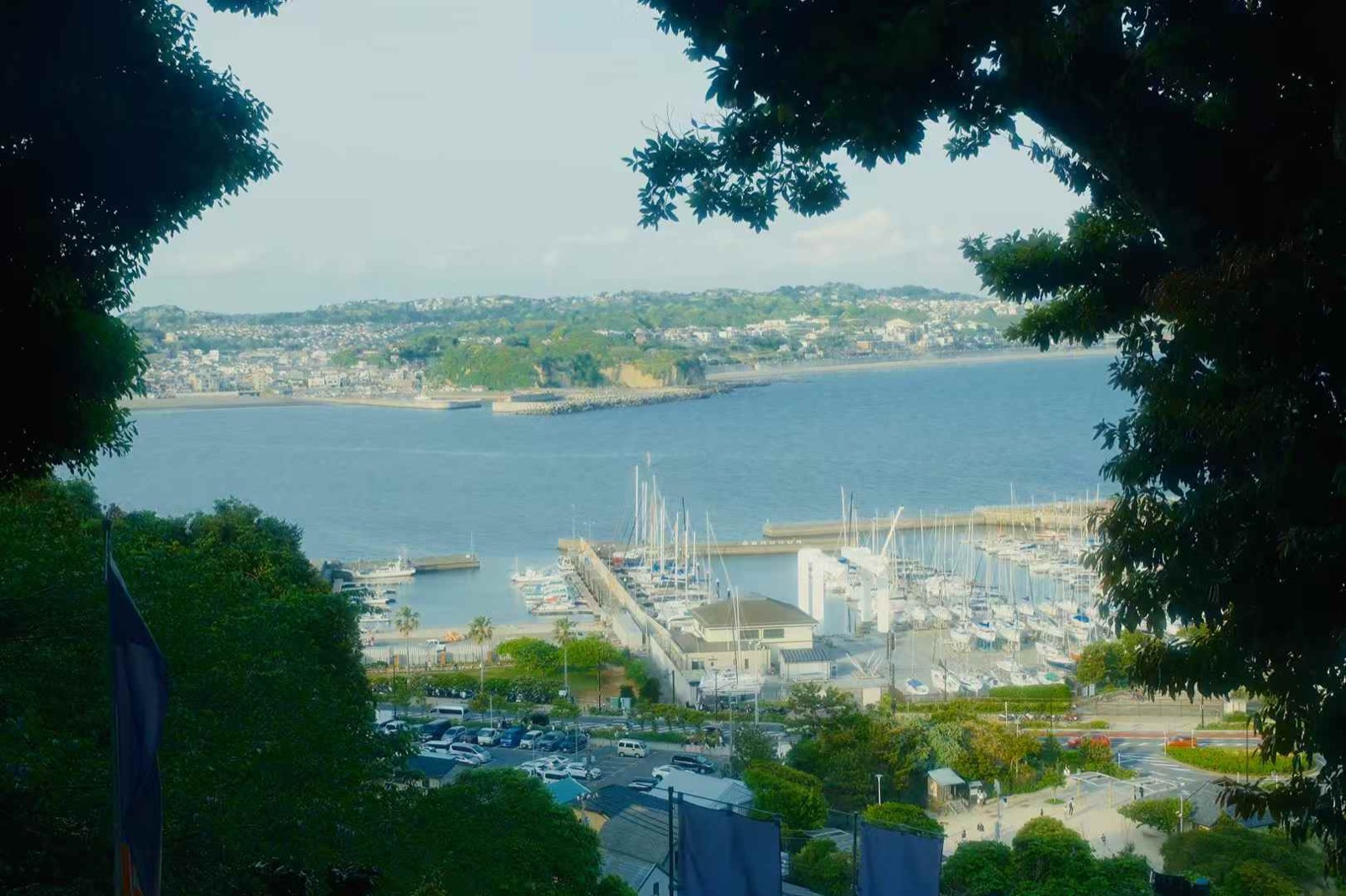 Tokyo 12